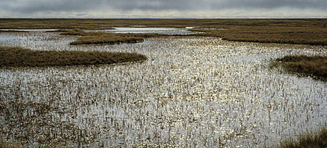  / &copy;: WWF-Canon / Peter PROKOSCH