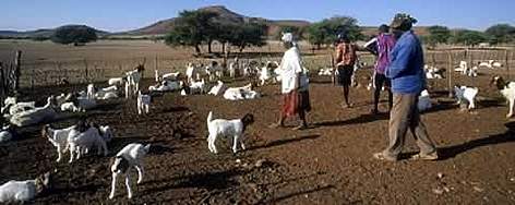 Vitalis Florry's family farm, Torra Conservancy, Namibia. rel=