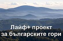 Лайф+ проект за българските гори / ©: WWF/Michael Gunther Лайф+ проект за българските гори / ©: WWF/Michael Gunther