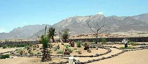 Garden at conservancy White Lady lodge . / ©: WWF-Canon / Joanna Benn Garden at conservancy White Lady lodge . rel=