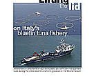 Lifting the lid on Italy’s bluefin tuna fishery report cover