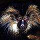 The lion-tailed macaque, one of the rarest and most threatened primates, is only found in the southern part of the Western Ghats, India. © Gerald S. CUBITT / WWF-Canon