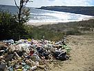 Плажът Липите в Странджа е заринат с боклук / ©: Kuzman Kuzmanov piles of rubbish in forest near beach / ©: Kuzman Kuzmanov