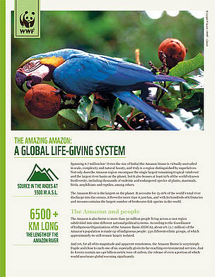  / &copy;: WWF Perú