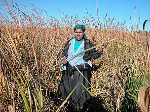 Mbongolwane wetland, South Africa. / ©: WWF-Canon / Chris MARAIS Freshwater management in South Africa. Bhekepi Dlamini (40) says her life was very difficult when ... / ©: WWF-Canon / Chris MARAIS