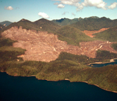  / &copy;: WWF-Canon / James W. THORSELL