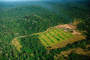 Logging mill near Apiacás, Mato Grosso state, Juruena National Park, Brazil.