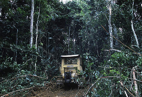 Conservation Issues A bulldozer clears trees and vegetation to build a road into logging concession ... / ©: © Martin HARVEY / WWF-Canon rel=