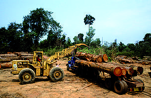Illegally logged forest, Laos. This area was subsequently flooded with the construction of the Nam ... / ©: Claude Barutel / ©: Claude Barutel