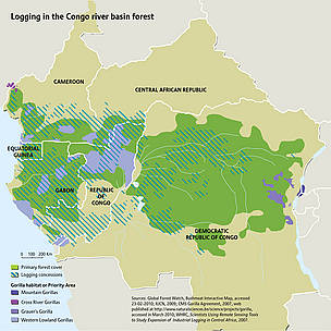 Logging in the Congo river basin forest. China is the largest consumer of logs from the DRC, buying ... / ©: Riccardo Pravettoni / Sources: Global Forest Watch, Bushmeat Interactive Map, accessed 23-02-2010; IUCN, 2009; CMS Gorilla Agreement, 2007, web published at http://www.naturalsciences.be/science/projects/gorilla, accessed in March 2010; WHRC, Scientists Using Remote Sensing Tools to Study Expansion of Industrial Logging in Central Africa, 2007. Logging in the Congo river basin forest. China is the largest consumer of logs from the DRC, buying ... / ©: Riccardo Pravettoni / Sources: Global Forest Watch, Bushmeat Interactive Map, accessed 23-02-2010; IUCN, 2009; CMS Gorilla Agreement, 2007, web published at http://www.naturalsciences.be/science/projects/gorilla, accessed in March 2010; WHRC, Scientists Using Remote Sensing Tools to Study Expansion of Industrial Logging in Central Africa, 2007.