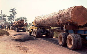 Logs being transported out of the Okomu Wildlife Sanctuary, Nigeria / ©: © Sandra MBANEFO OBIAGO / WWF-Canon / ©: © Sandra MBANEFO OBIAGO / WWF-Canon