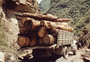 Logging is one of the threats facing China's nature reserves. Wolong Nature Reserve, Sichuan ... / ©: (c) WWF-Canon / Soh Koon CHNG Logging truck. Wolong Narure Reserve, Sichuan province, China. / ©: (c) WWF-Canon / Soh Koon CHNG