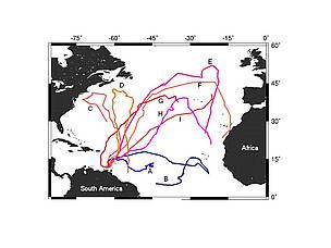 Movements and diving behaviour of nine leatherback turtles tracked after nesting in the Caribbean. / ©: Graeme Hays Movements and diving behaviour of nine leatherback turtles tracked after nesting in the Caribbean. / ©: Graeme Hays