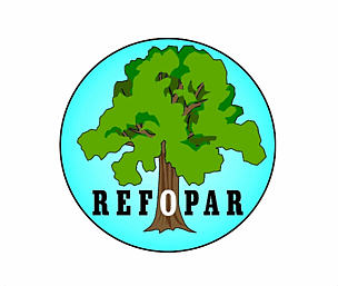 Reforestemos Paraguay / ©: REFOPAR Reforestemos Paraguay / ©: REFOPAR