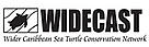  / &copy;: Widecast
