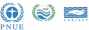 UNEP MAP RAC/SPA logo - horizontaux / ©: RAC/SPA UNEP MAP RAC/SPA logo - horizontaux / ©: RAC/SPA