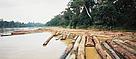 Rain forest timber awaiting conveyance down the Kinabatangan river. East Sabah. Borneo. Malaysia. / ©: WWF-Canon / Gerald S. CUBITT Rain forest timber awaiting conveyance down the Kinabatangan river. East Sabah. Borneo. Malaysia. / ©: WWF-Canon / Gerald S. CUBITT