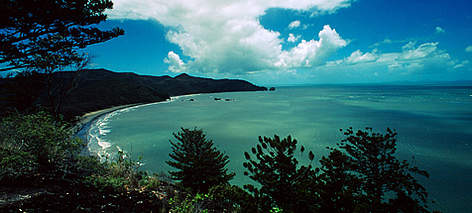 Norfolk Pines (Araucaria heterophylla) and coastal landscape in Cape Hillsborough National Park, ... / ©: WWF-Canon / Michèle DÉPRAZ rel=
