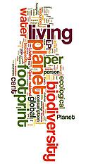  / &copy;: Wordle