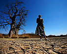A Maasai stands on cracked earth in front of a baobab tree close to the silted up Kioga river, which feeds into the Great Ruaha river.