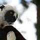 &copy; WWF / Mélinda-Ashley Gilhen