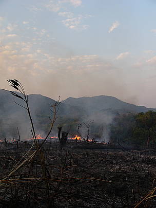  / &copy;: WWF / Arthur Chan
