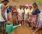 Learning to grow eggplant, tomatoes, and a Malagasy lettuce called "petsay" in Maroangira.