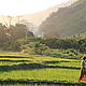 Kuni taking in the rice fields in Ambodemanga © Christa Szumski