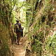Cara weaving through a narrow 'couloir' in the rainforest. © Christa Szumski