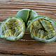 New and exciting fruits! © WWF/Sarah Jackson
