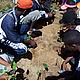 Planting trees with the Club Vintsy, a high school in Midongy that values environmental awareness and protection. © WWF/Sarah Jackson