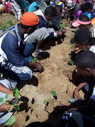 Planting trees with the Club Vintsy, a high school in Midongy that values environmental awareness ... / ©: WWF/Sarah Jackson / ©: WWF/Sarah Jackson