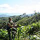 &copy; WWF / Mélinda-Ashley Gilhen