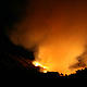 &copy; WWF / Mélinda-Ashley Gilhen