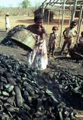 La production de charbon de bois est l’une des autres causes importantes de déforestation à ... / ©: WWF-Canon / John E. Newby / ©: WWF-Canon / John E. Newby