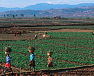 The lending programmes of the IMF and the World Bank give little attention to the rights of the poor, 70 per cent of whom live in rurual areas, such as these Madagasgy  subsistence farmers.<BR>