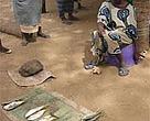Maïmouna, selling <I>kobos</I> in the Mar Lodj market, Senegal.