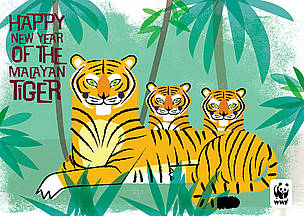 Send a special e-card to friends and family and help spread the word about tiger conservation! / &copy;: WWF / Radiola