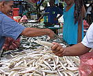 Fishermen selling their catch at a market in Malaysia.
