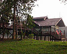 Sukau Rainforest Lodge along the Kinabatangan Rive