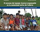 El proceso del manejo forestal responsable