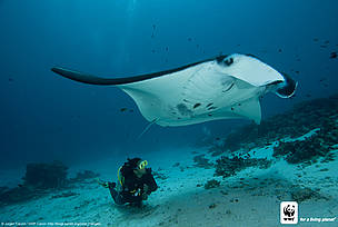  / &copy;: Jürgen Freund /WWF-Canon