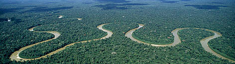 Rio Pinquen, Manu National Park, Amazon Rainforest, Peru. / ©: WWF-Canon / André BÄRTSCHI rel=