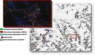 Forest carbon monitoring over time with CLASlite / ©: GoodPlanet / R. Vaudry / ©: GoodPlanet / R. Vaudry