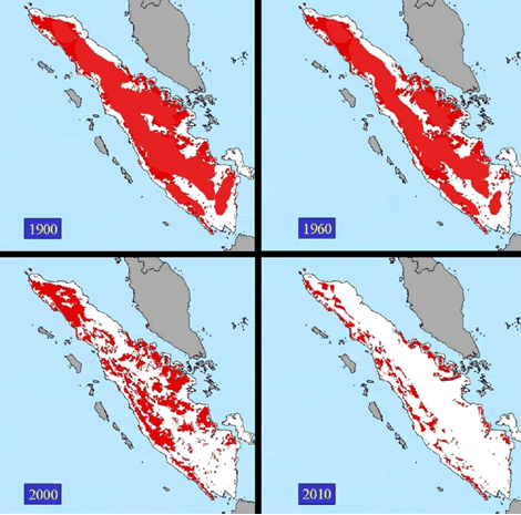 Forest loss on Sumatra due to logging and conversion to agriculture. The red depicts forest cover. / ©: WWF Forest loss on Sumatra due to logging and conversion to agriculture. The red depicts forest cover. rel=