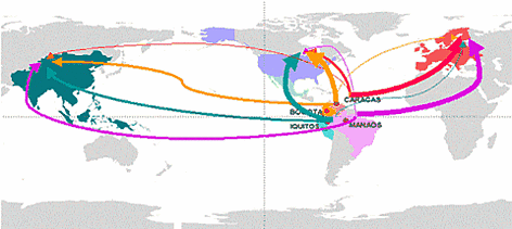 Trade routes of ornamental fish from Orinoco and Amazon basins to the rest of the world - 2005 / ©: WWF rel=
