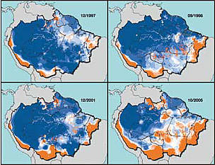 Niveles de humedad del suelo en la Amazonía durante cuatro periodos de sequía severa ( Nepstad, ... / ©: Nepstad 2008 / ©: Nepstad 2008