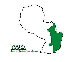 Bosque Atlántico del Alto Paraná. / ©: WWF Paraguay BAAPA / ©: WWF Paraguay