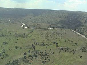 The Mara River flowing from its source, the South West Mau Forests in Kenya. / ©: WWF-EARPO / Sam Kanyamibwa The Mara River flowing from its source, the South West Mau Forests in Kenya. / ©: WWF-EARPO / Sam Kanyamibwa