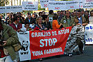 WWF and Spanish artisanal tuna fishers join in a demonstration asking the International Commission ... / ©: WWF/Carlos G. Vallecillo WWF and Spanish artisanal tuna fishers join in a demonstration asking the International Commission ... / ©: WWF/Carlos G. Vallecillo